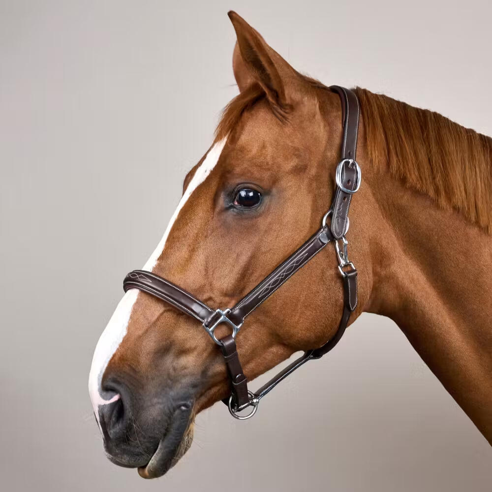 Cabestro de cuero para caballos Dy'on Fancy Working Collection 2/4