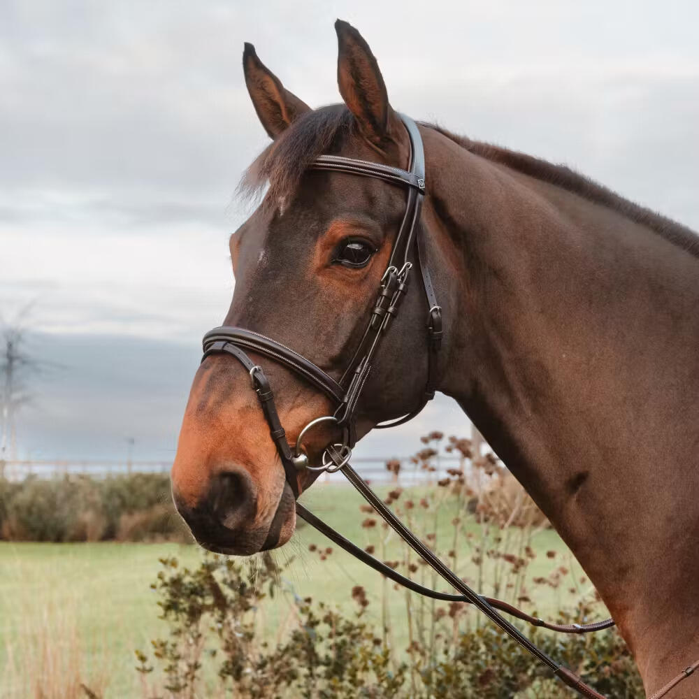 Rubber reins for horse with 7 leather stops, ring closure, without collar Dy'on