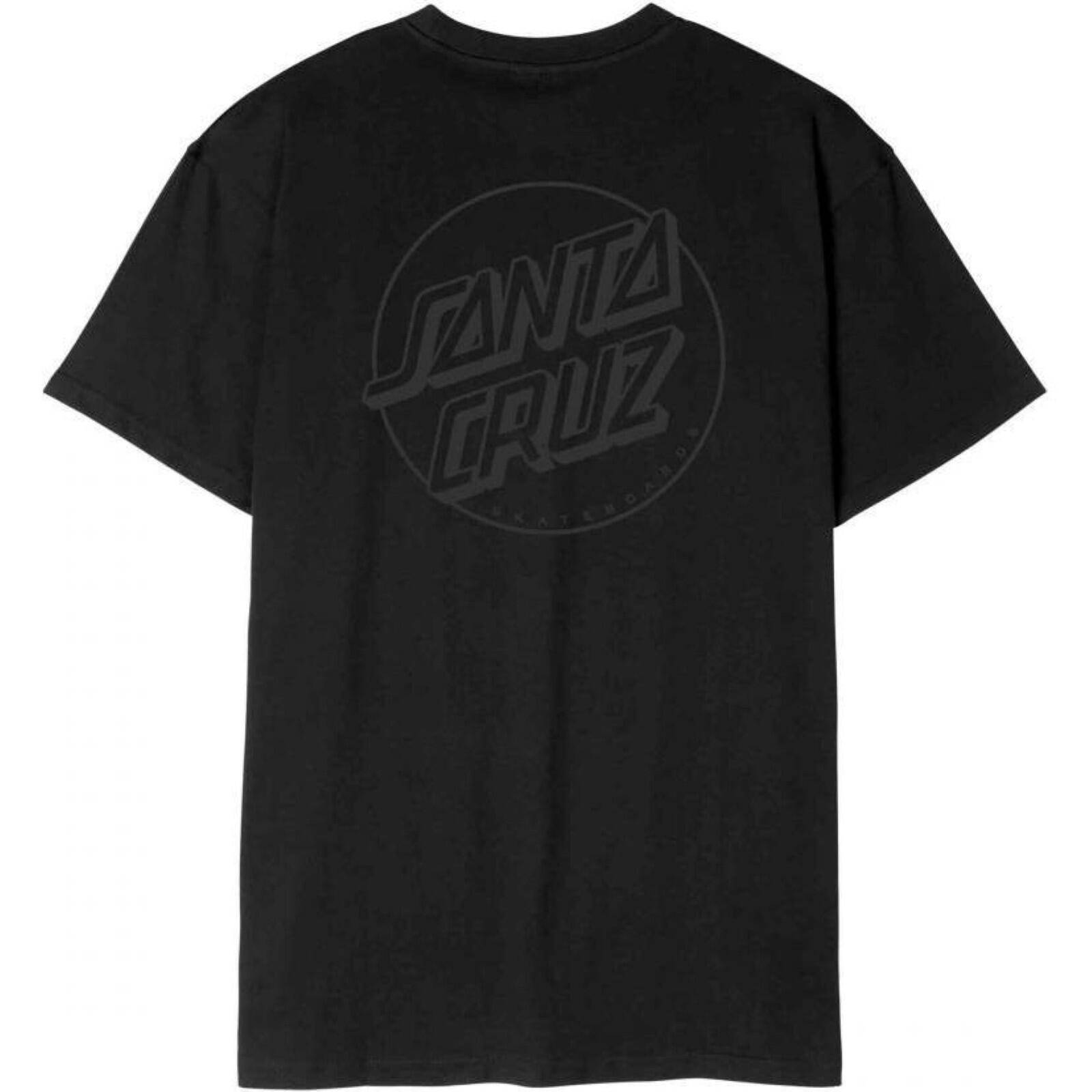 SANTA CRUZ picture