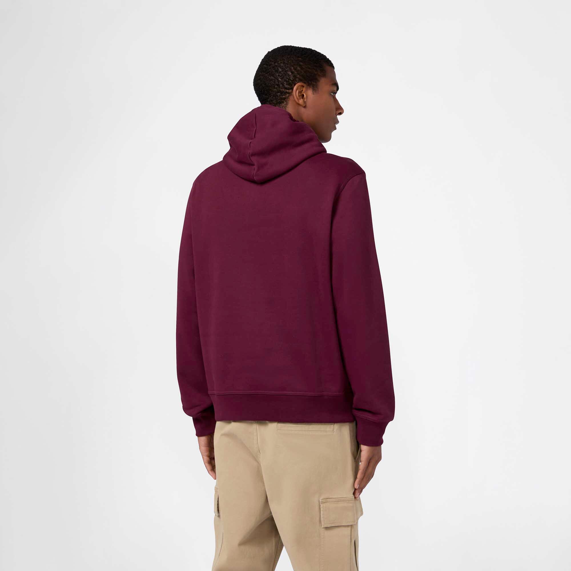 Felpa Champion Hooded Sweatshirt Adulto 3/7