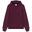 Hanorac Champion Hooded Sweatshirt Adult