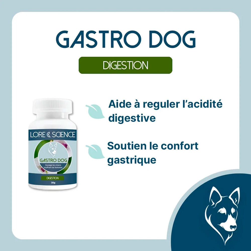 Comprimés troubles digestifs ulcères chien Gastro Dog Lore & Science 60g 2/4