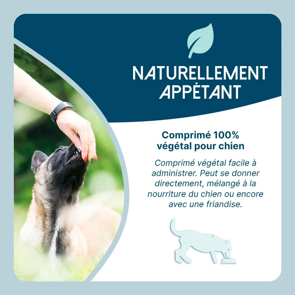 Comprimés troubles digestifs ulcères chien Gastro Dog Lore & Science 60g 4/4