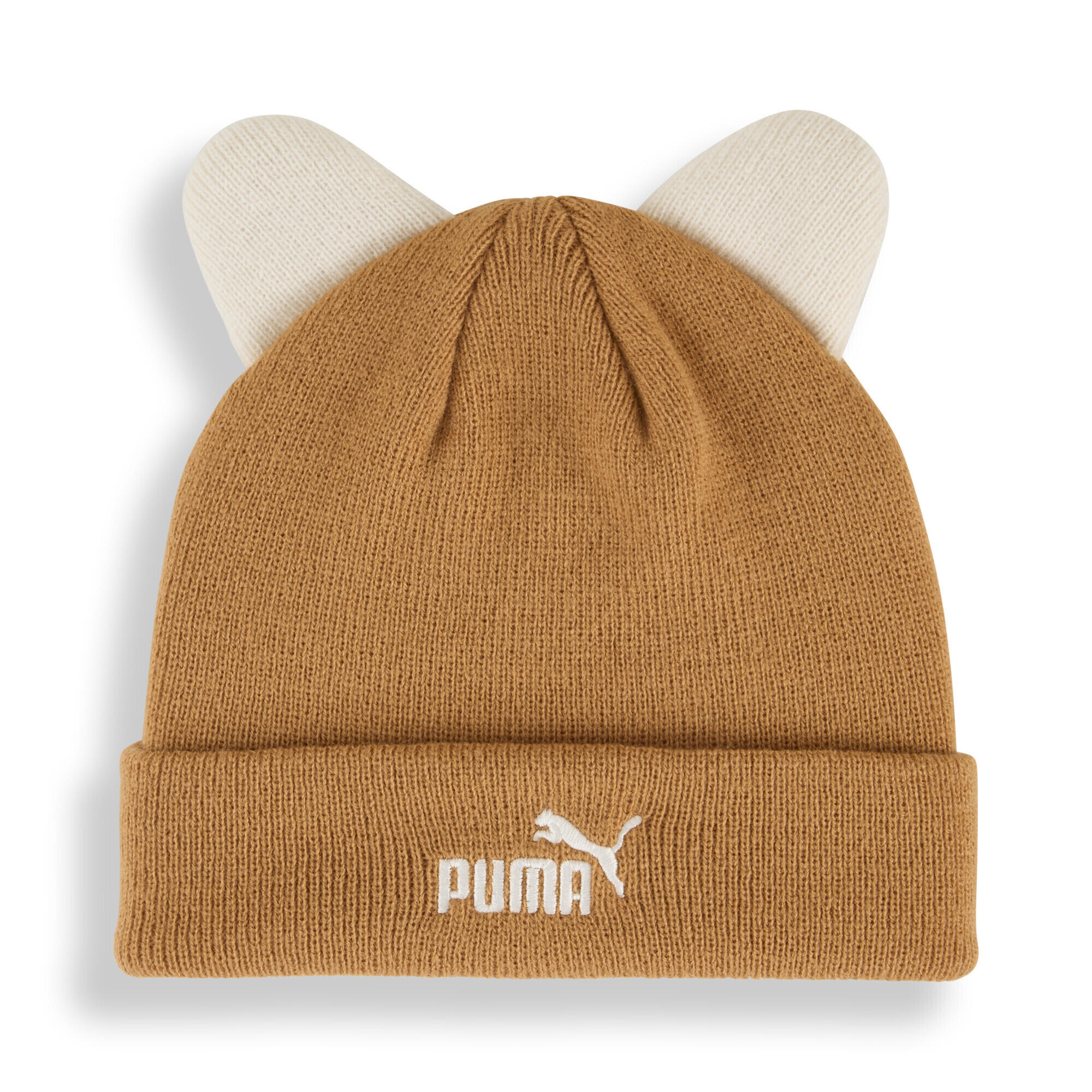 PUMA picture