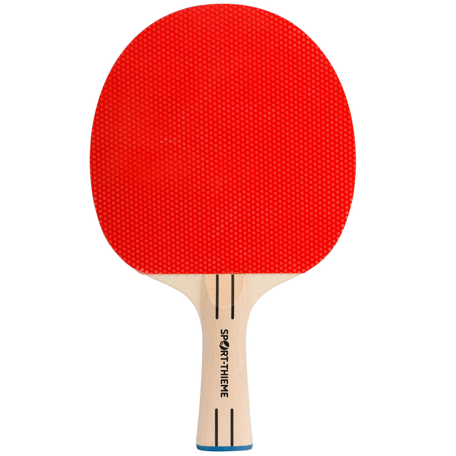 SPORT-THIEME picture
