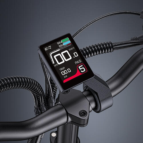 ENGWE LE20 Cargo Ebike 250W met dubbele accu 48V 38,4Ah 3/7