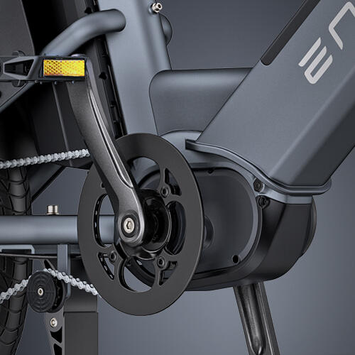 ENGWE LE20 Cargo Ebike 250W met dubbele accu 48V 38,4Ah 2/7