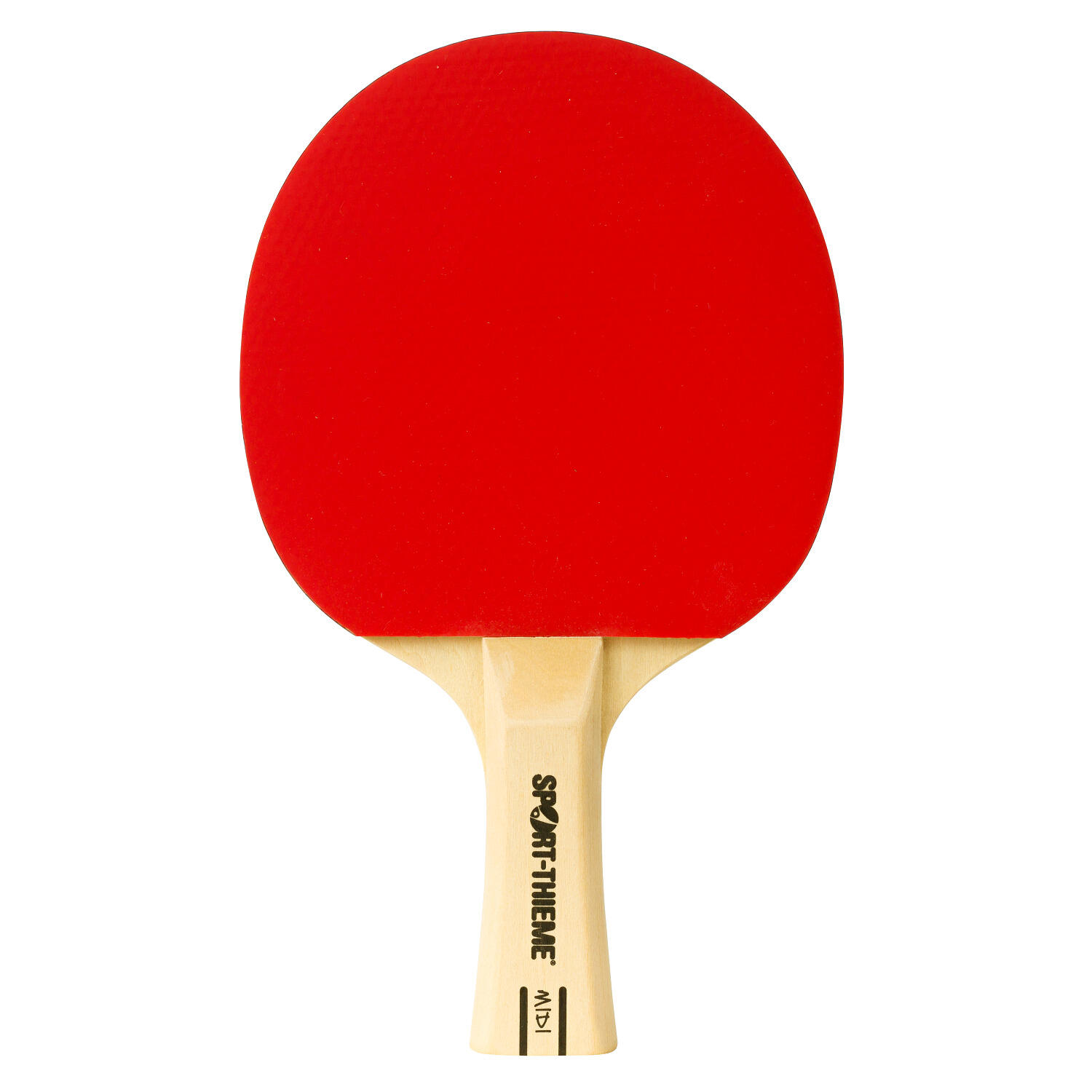 SPORT-THIEME picture