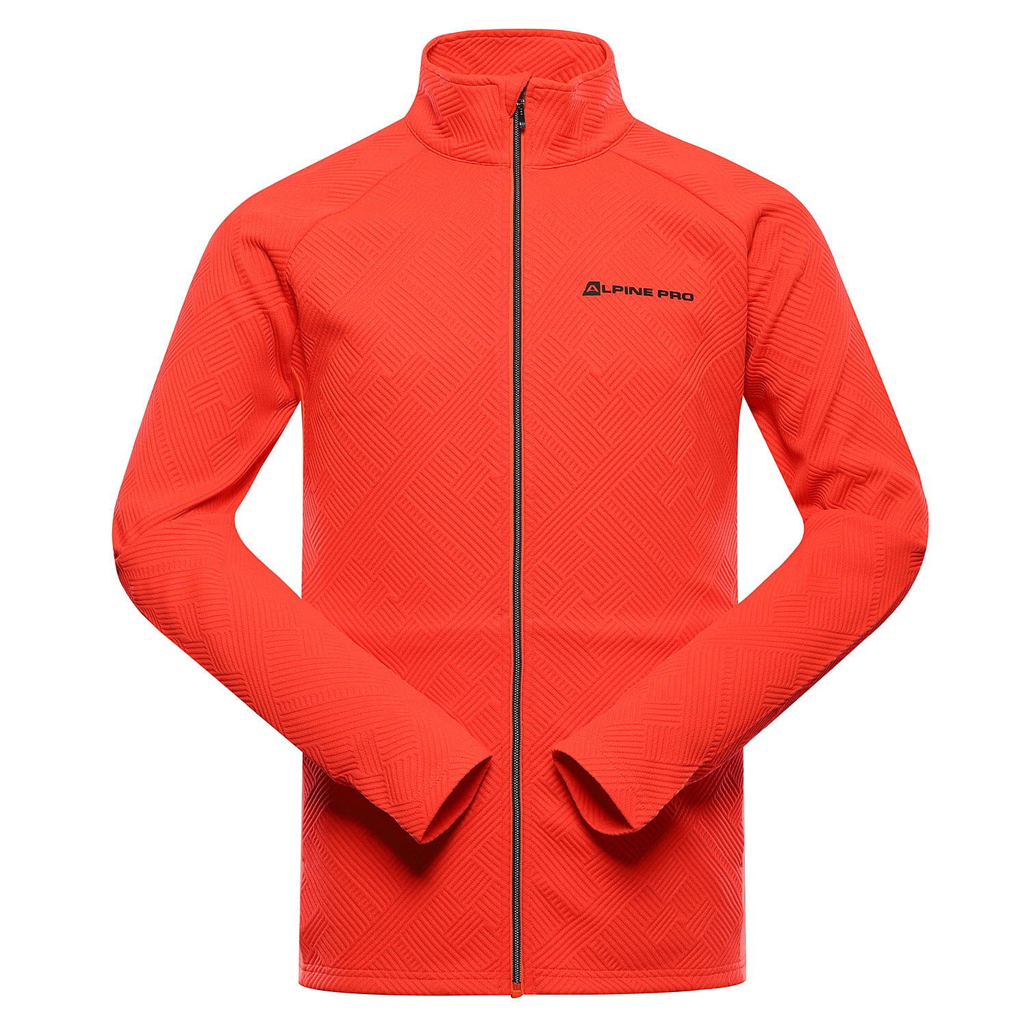 ALPINE PRO picture