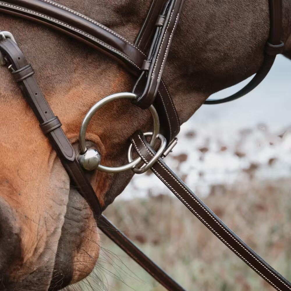 Redini per cavallo in gomma con 7 fermagli in cuoio, chiusura a anelli, senza co 4/4
