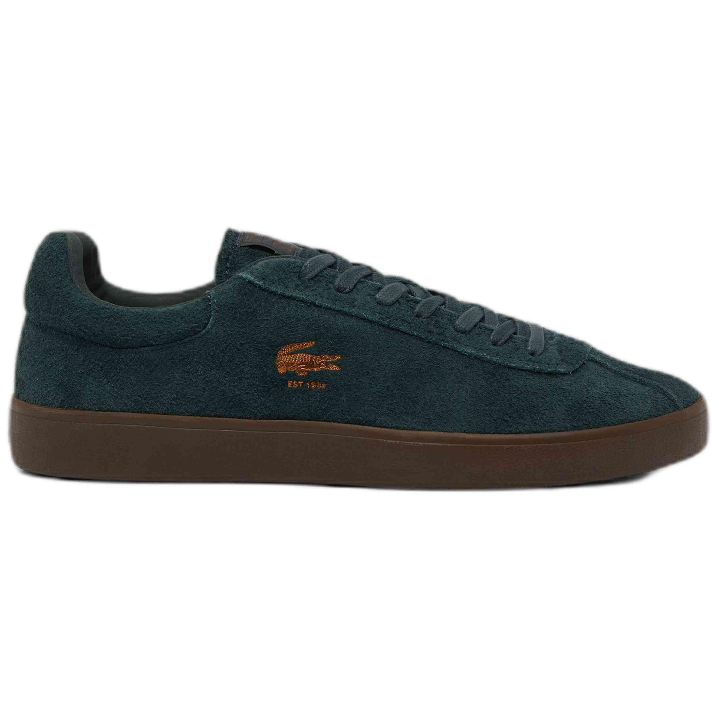 LACOSTE picture