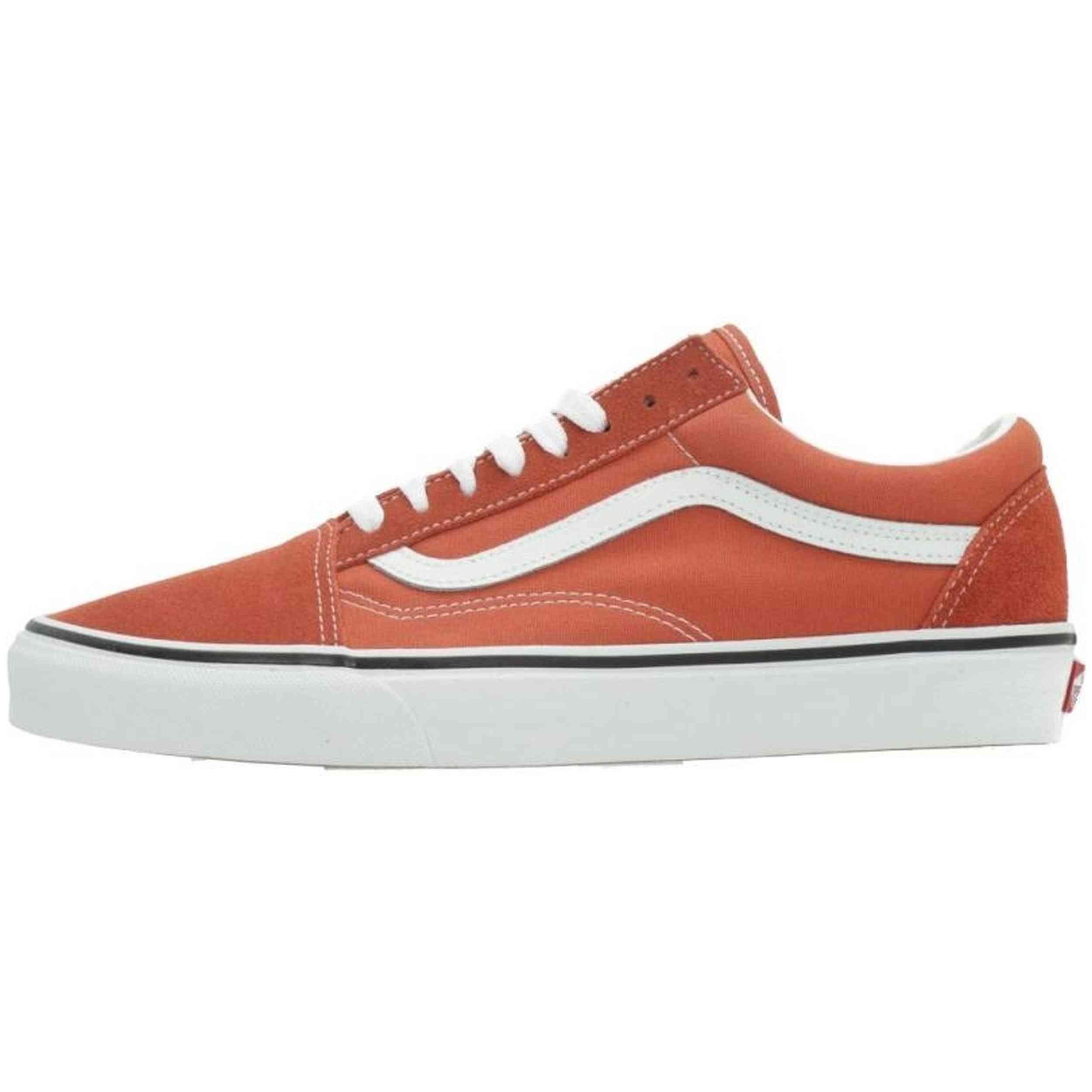 VANS picture