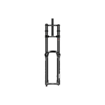Gabel Rockshox BoxxerUltimate Charger3 RC2 D5