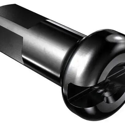 Box of 100 round nuts DT Swiss radio pro lock/prohead m 2x14