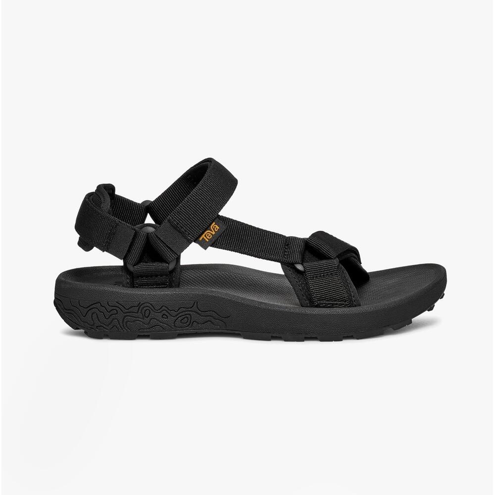 TEVA picture
