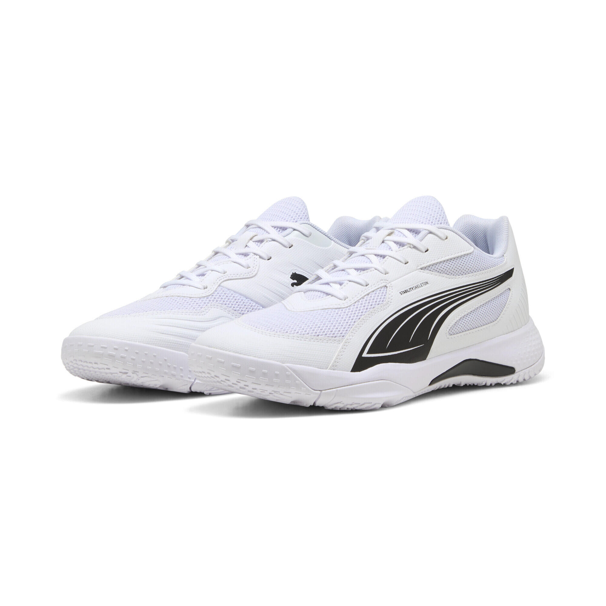 PUMA picture