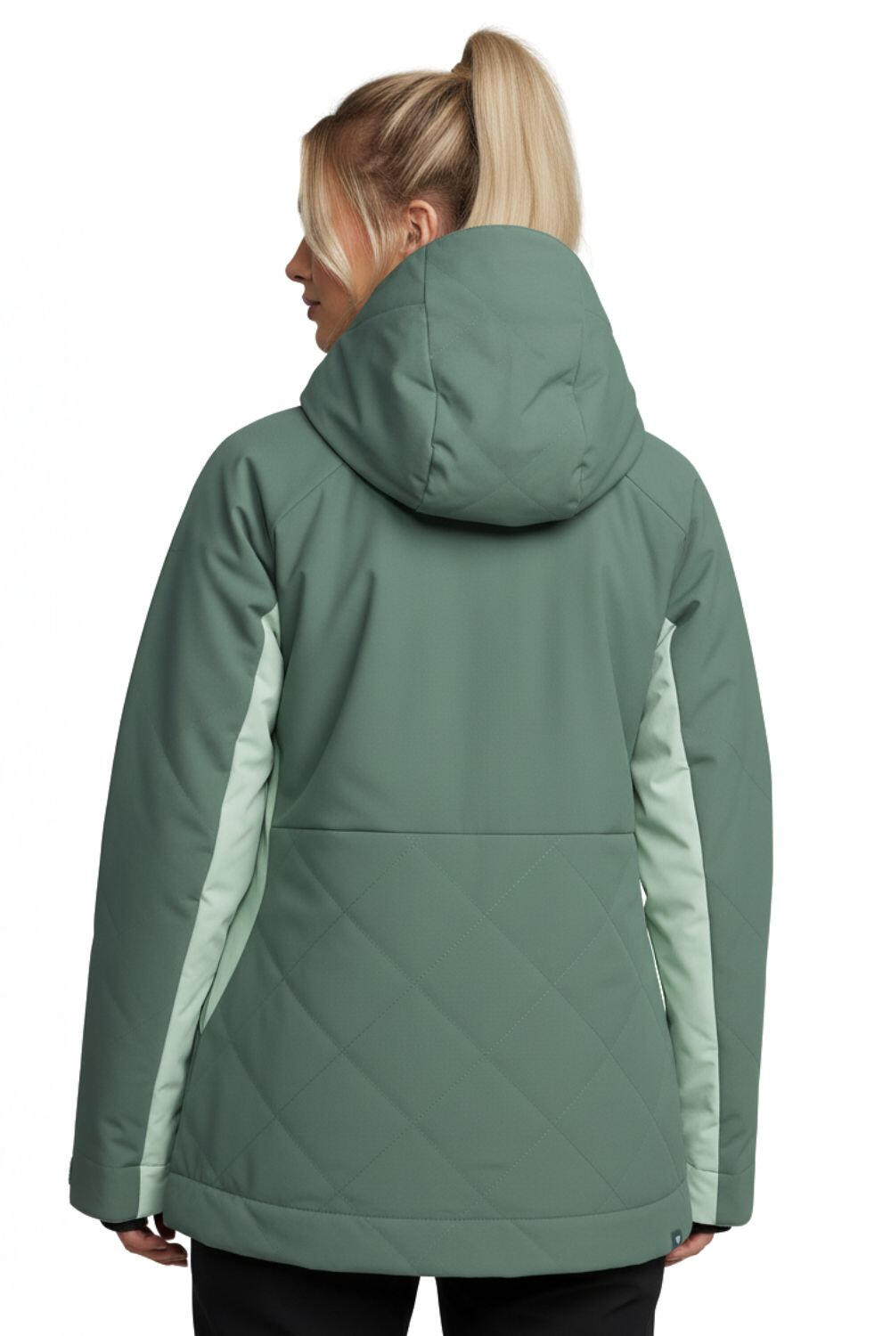 Veste de ski Roxy Radiant Lines pour femme 2/5