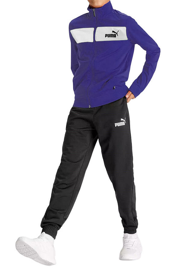 PUMA picture