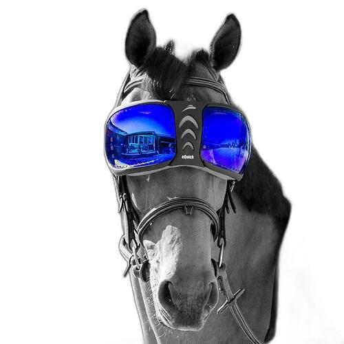 Equick - Verres De Rechange Lunettes Cheval Equick Evysor - Verre De Lunettes - Bleu - Taille Unique - Decathlon