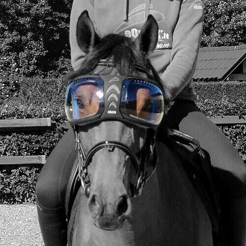 EQUICK picture