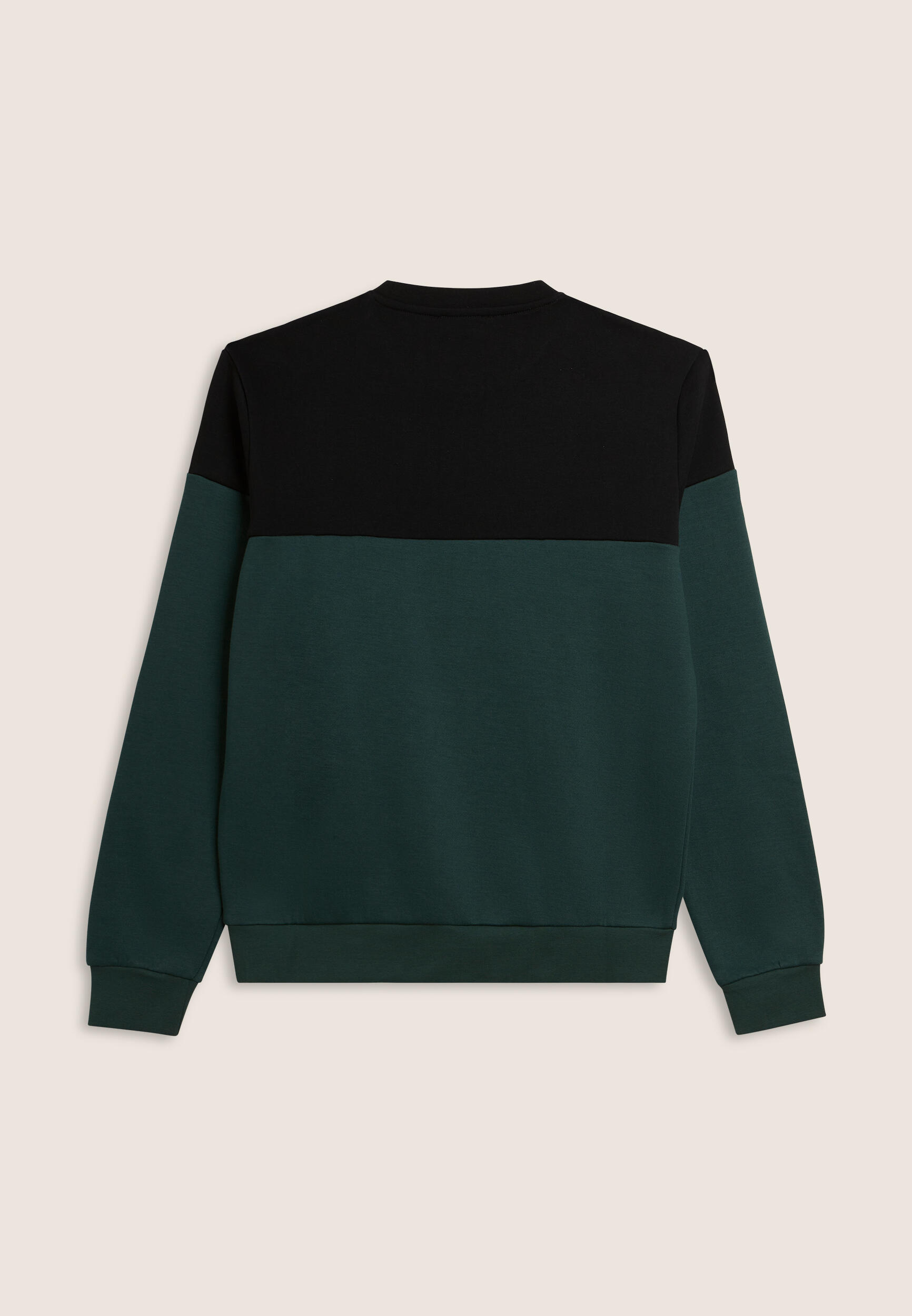 Felpa girocollo colour block con spalle a contrasto 2/3
