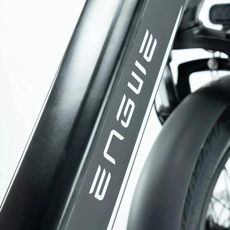 ENGWE L20 3.0 Pro folding electric bike, 250 watt motor power, top speed 25 km/h 5/7