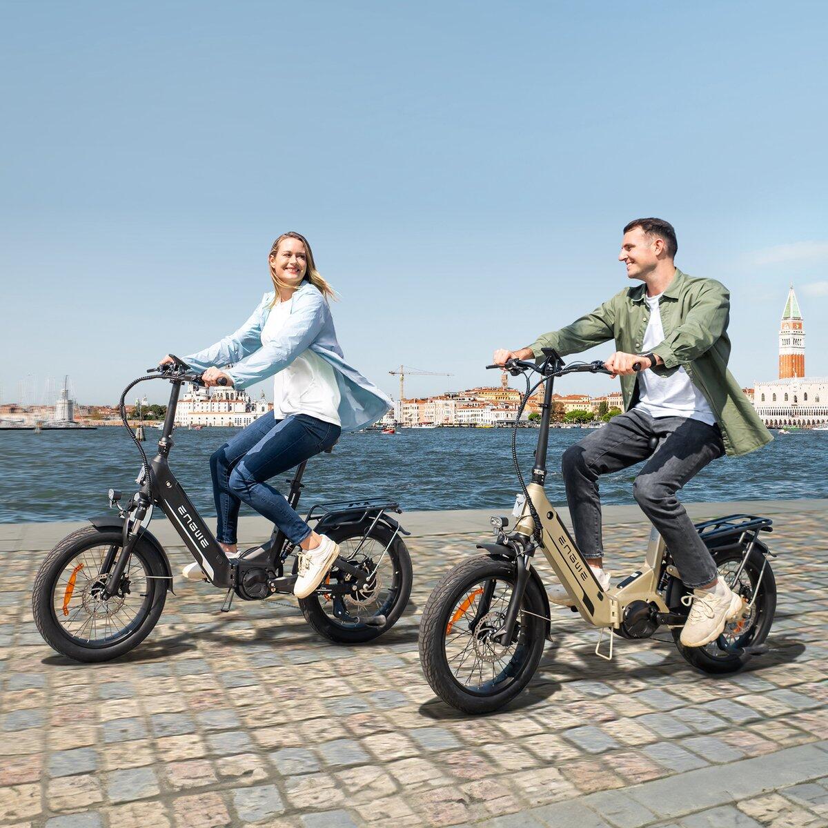 ENGWE L20 3.0 Pro folding electric bike, 250 watt motor power, top speed 25 km/h 7/7