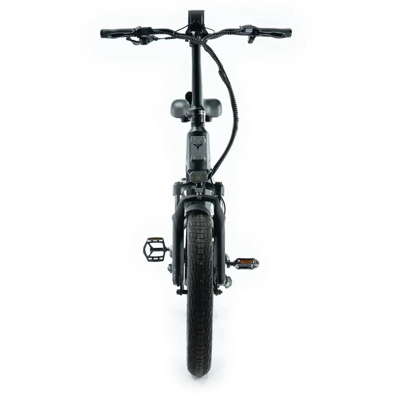 L20 3.0 Boost folding electric bike, 250 watt motor power, top speed 25 km/h 5/7