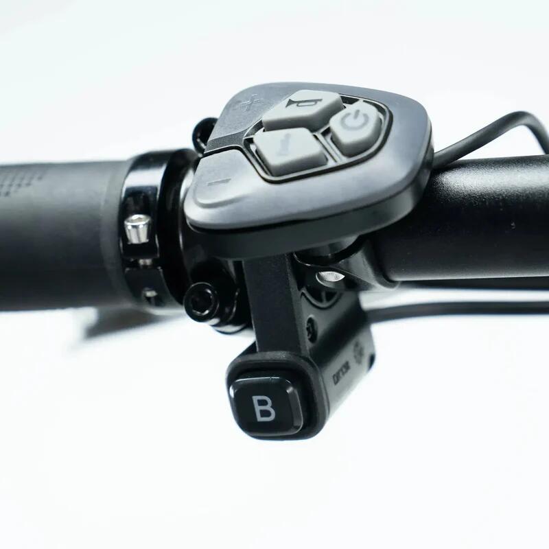 L20 3.0 Boost folding electric bike, 250 watt motor power, top speed 25 km/h 6/7
