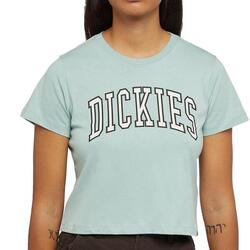 T-shirt Vert Femme Dickies Aitkin
