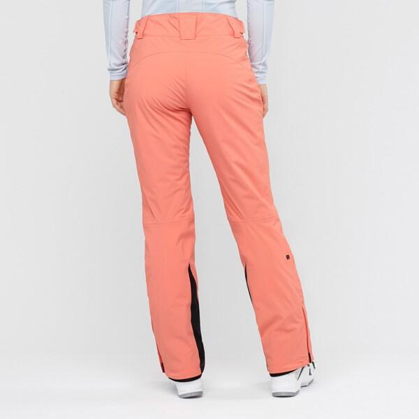 Pantalon d'hiver pour le ski et le snowboard pour femmes Salomon THE BRILLIANT 2/3