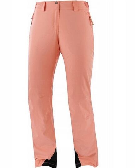 Pantaloni invernali da sci e snowboard da donna Salomon THE BRILLIANT
