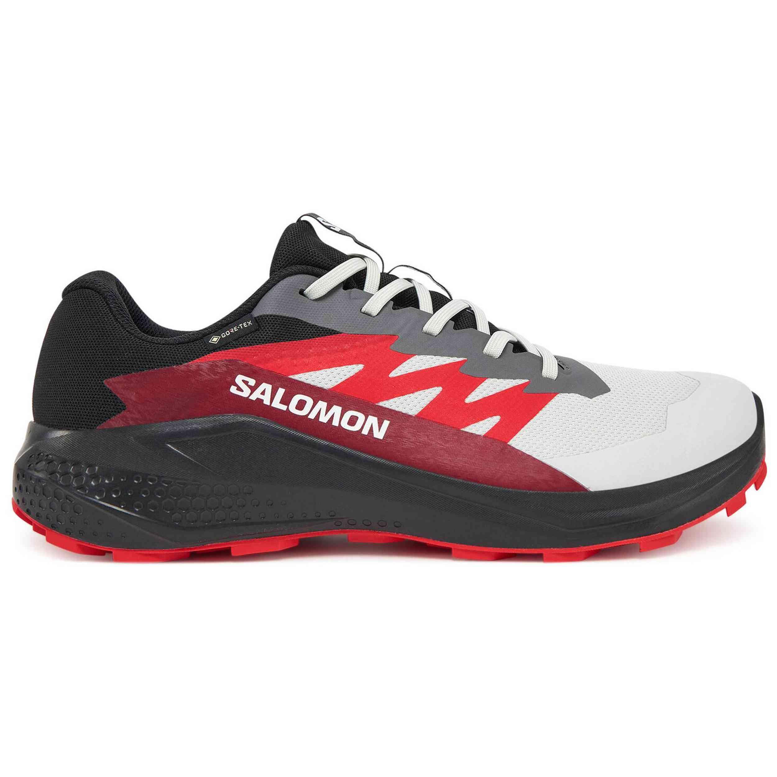 SALOMON picture