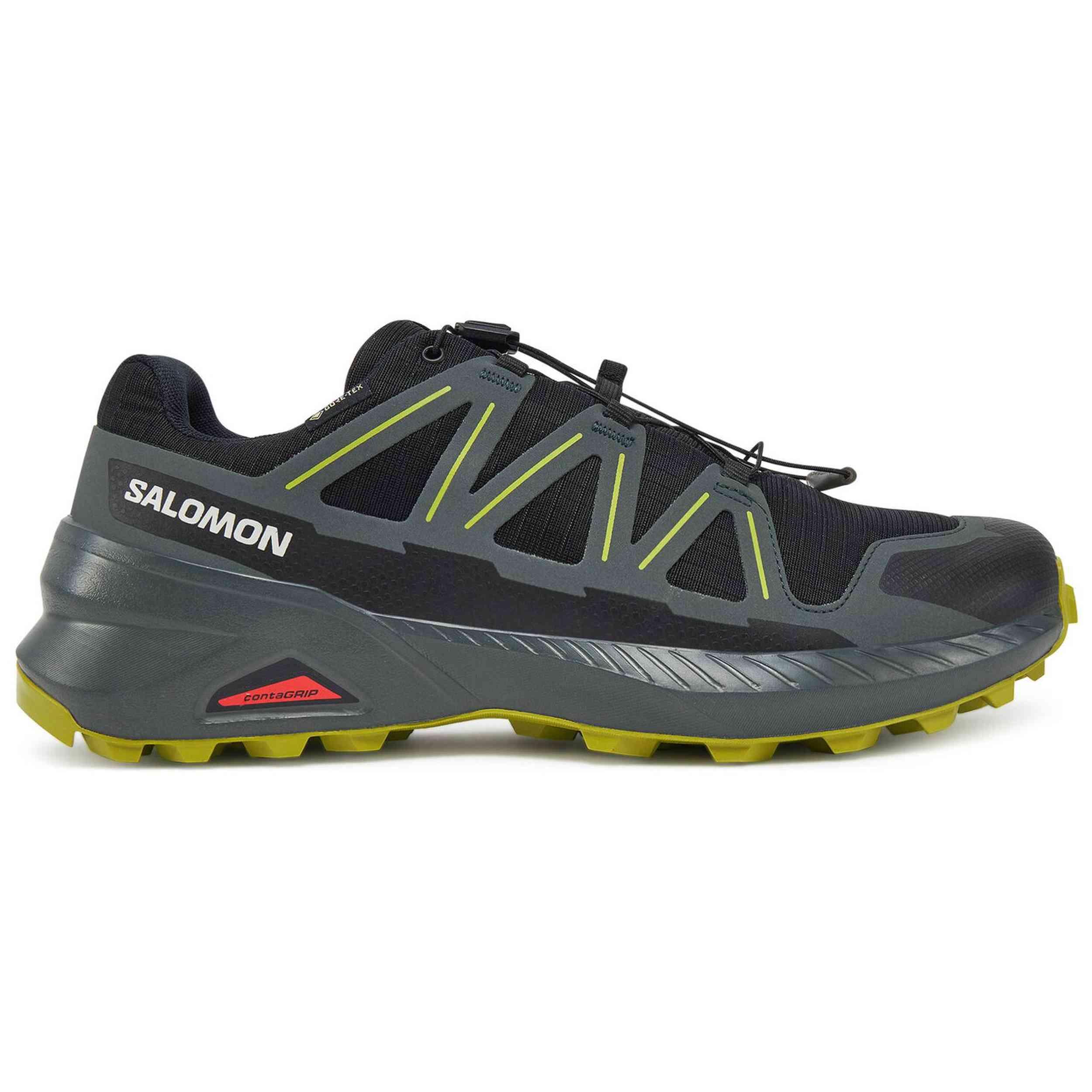 SALOMON picture