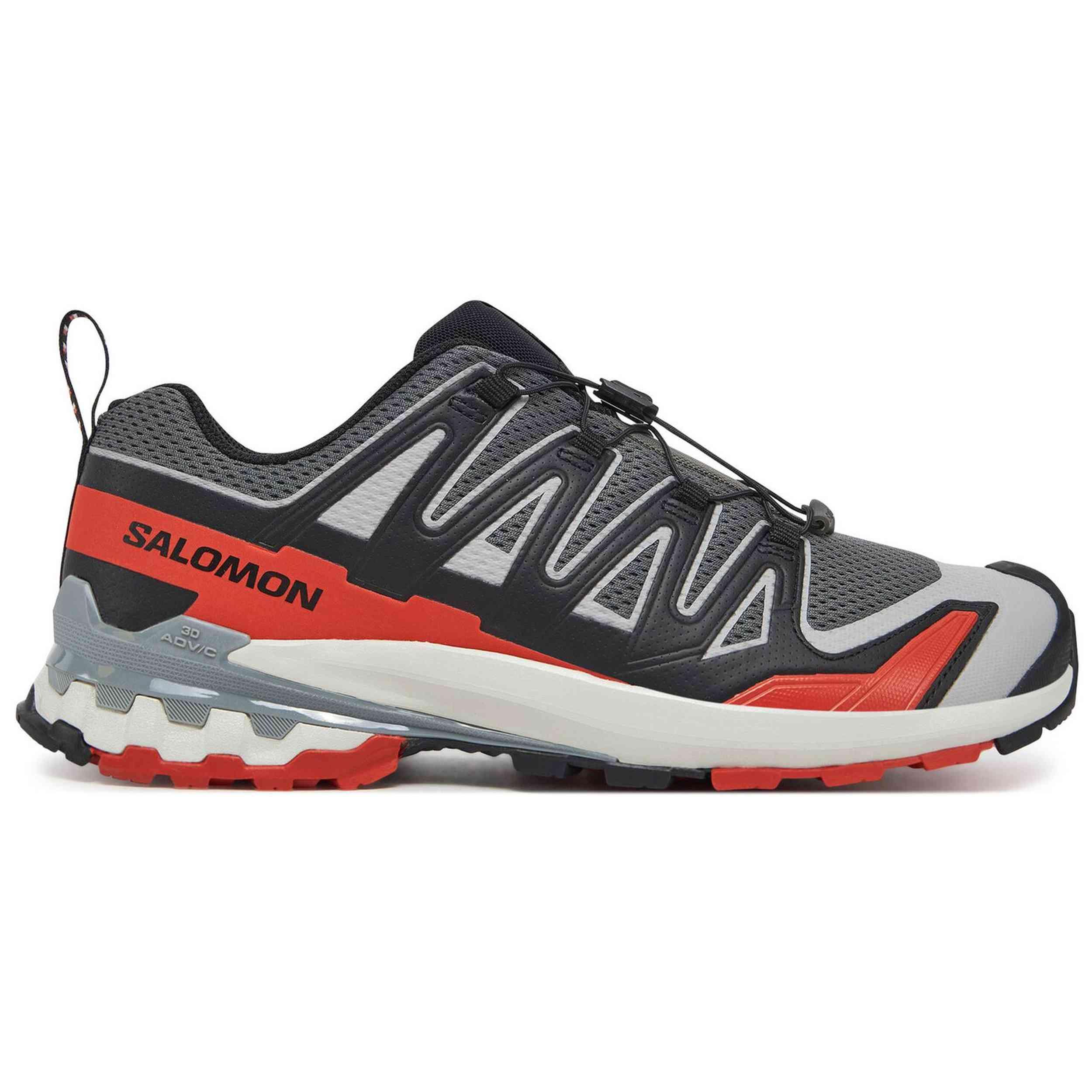 SALOMON picture