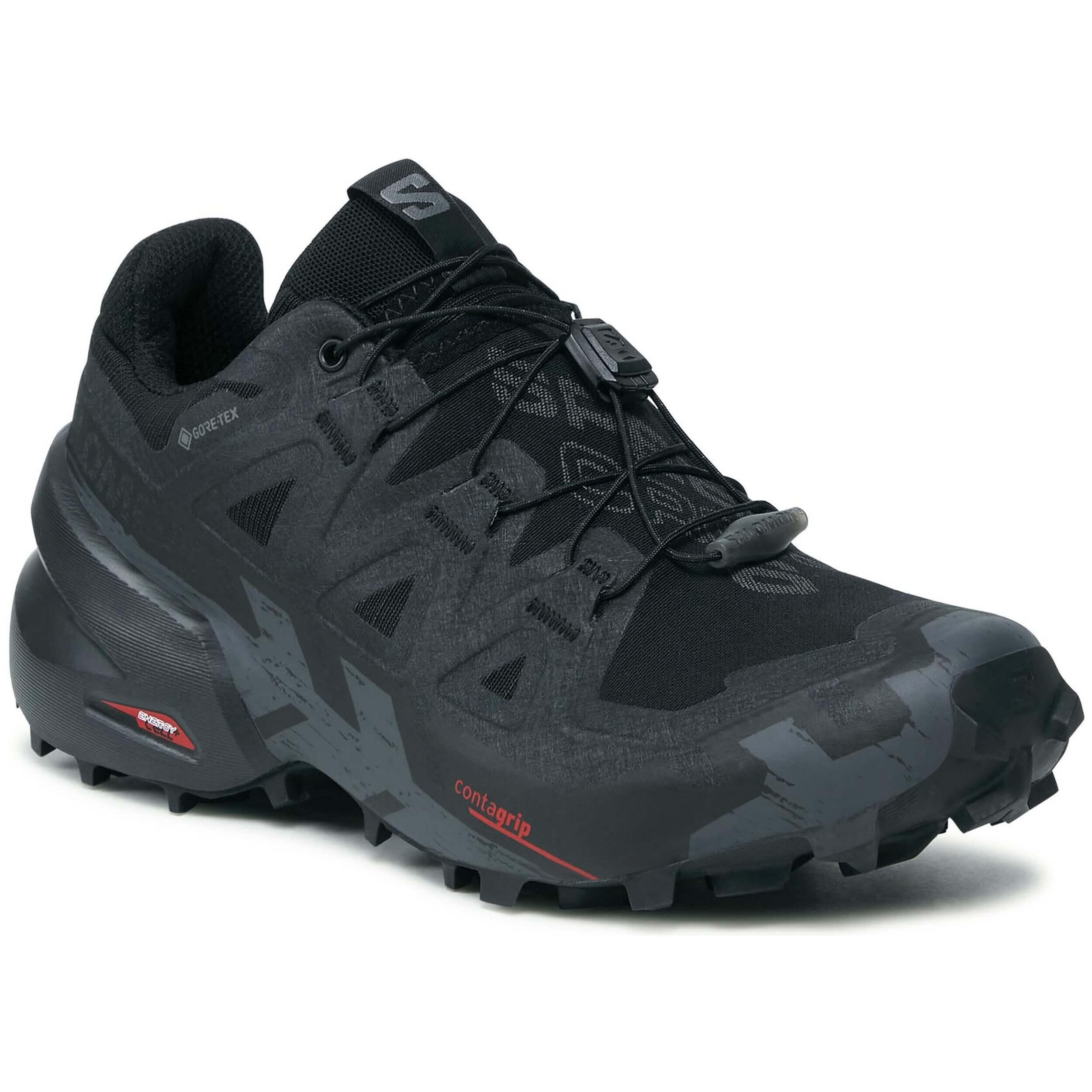 SALOMON picture