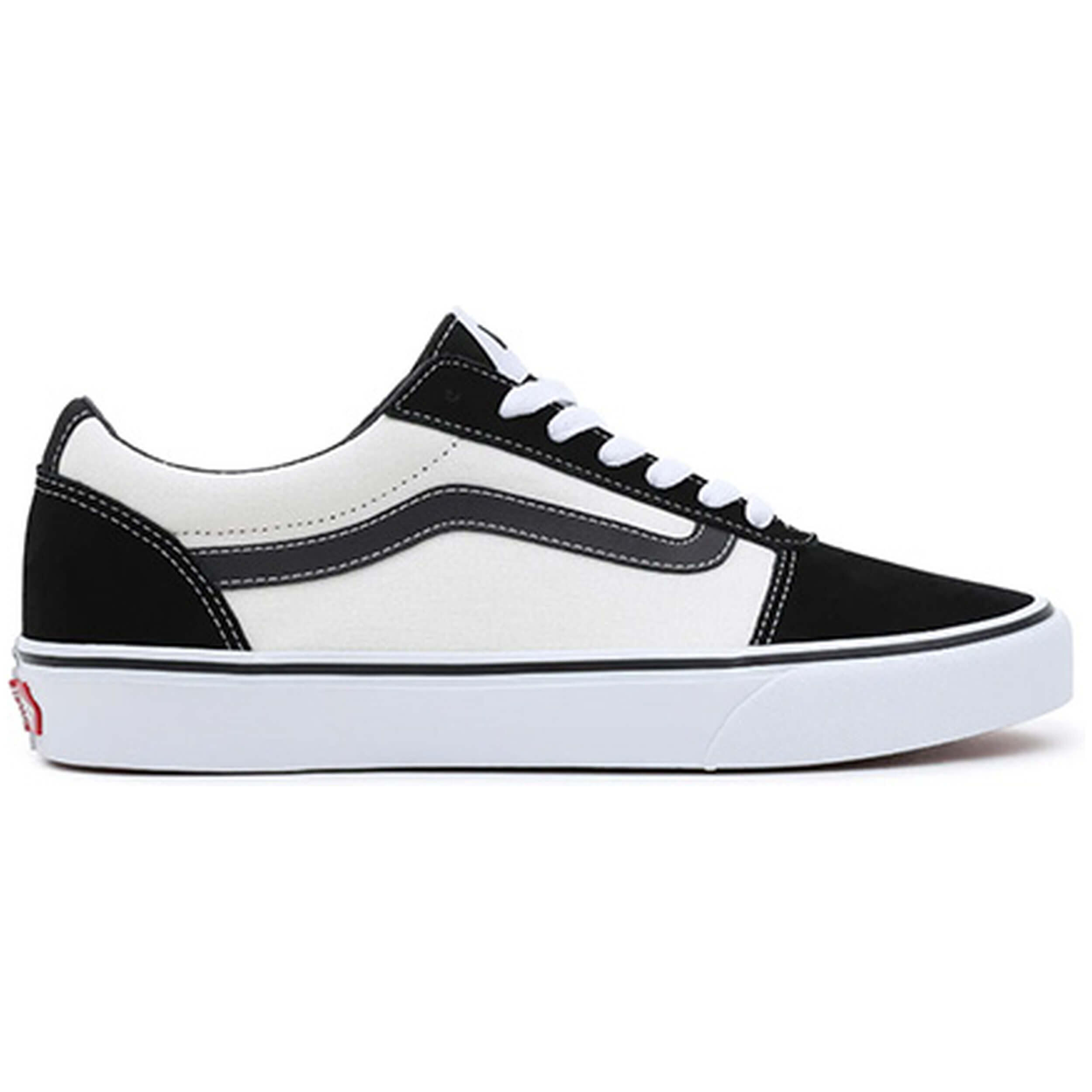 VANS picture