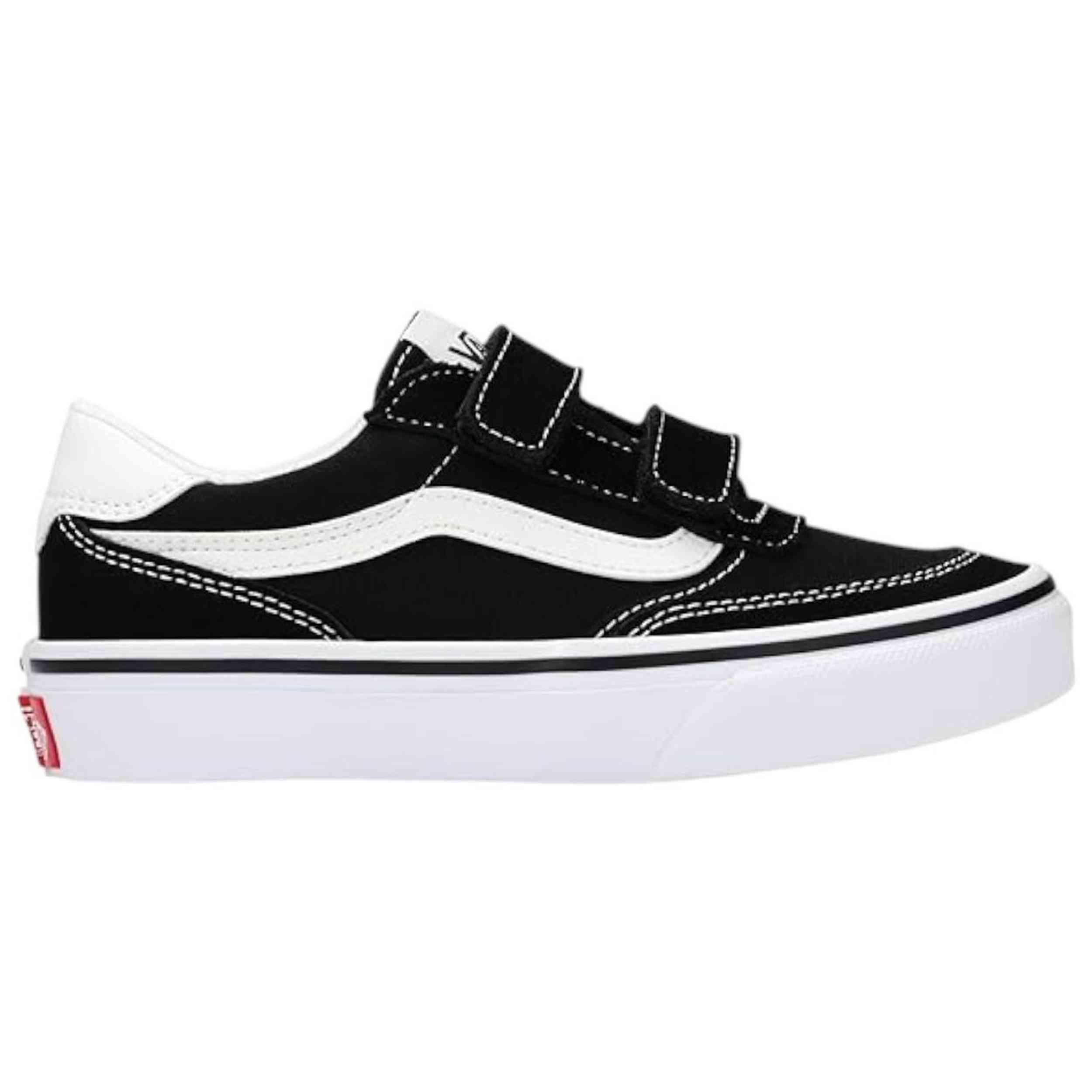 VANS picture