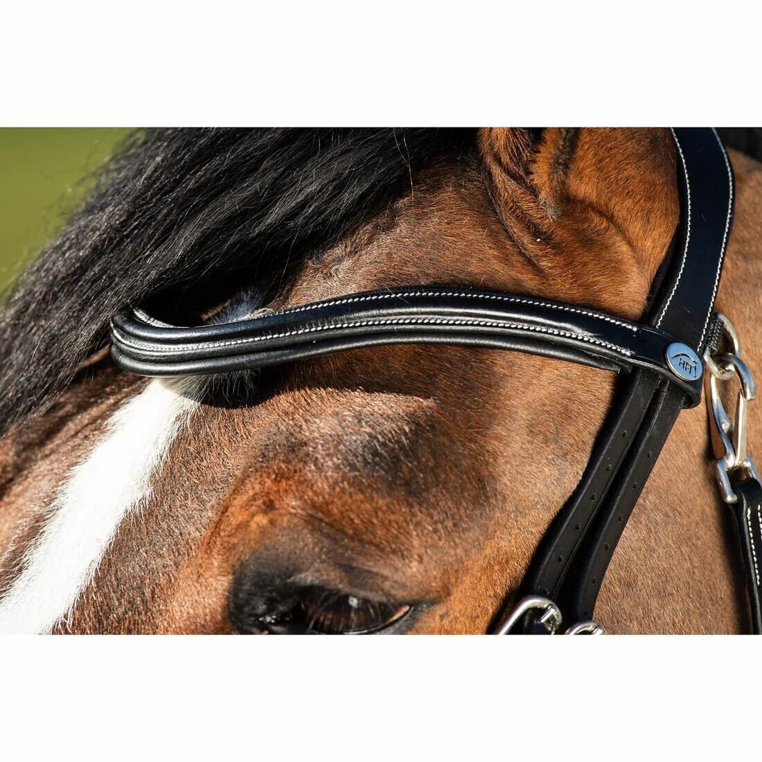 Bridas de equitación HFI Techno 2/7
