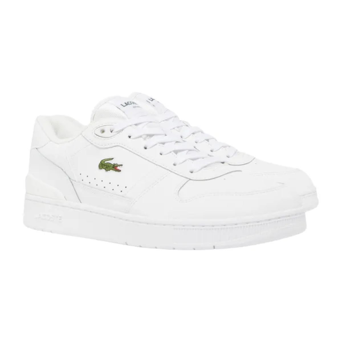 LACOSTE picture