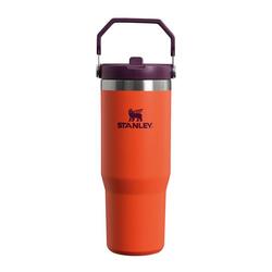 Bouteille D'Eau Isotherme 0,65L - Trek - Fitness - Gourde Avec Poignée - Thermos