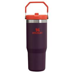 Bouteille D'Eau Isotherme 0,65L - Trek - Fitness - Gourde Avec Poignée - Thermos