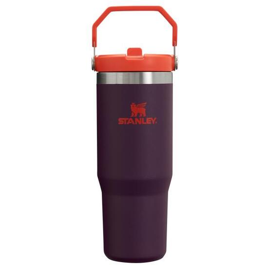 Trinkflasche mit strohhalm 0,89L Thermosflasche Fitness Wasserflasche Edelstahl