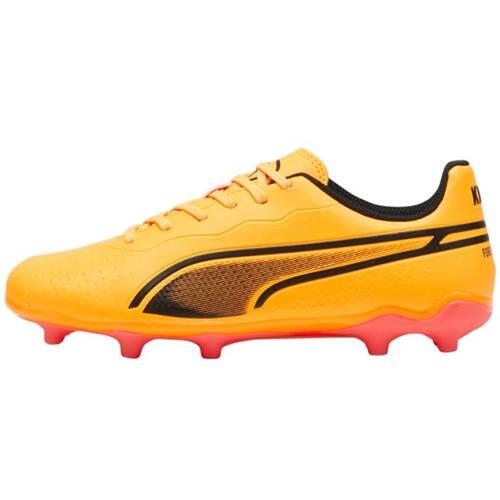 PUMA picture