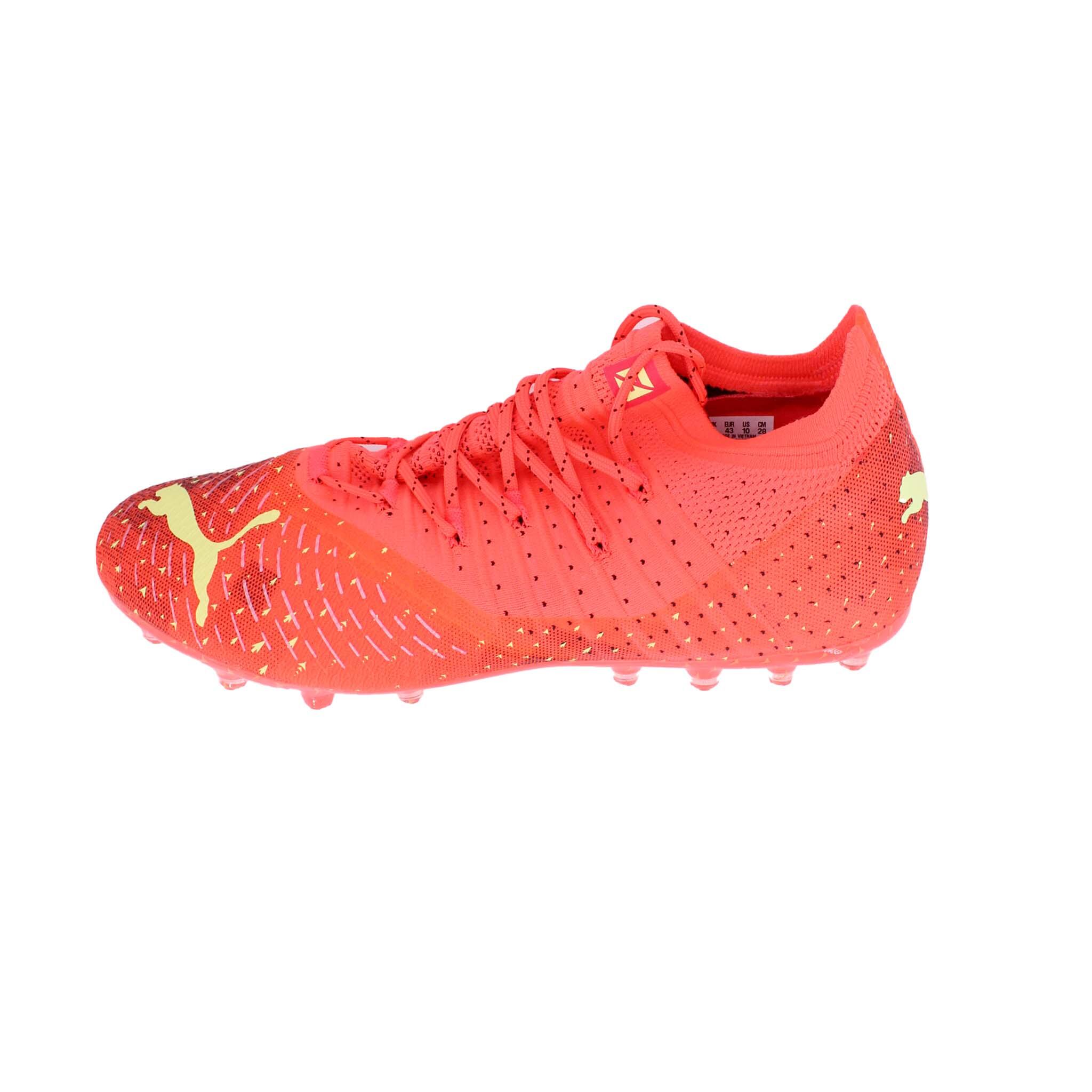 PUMA picture
