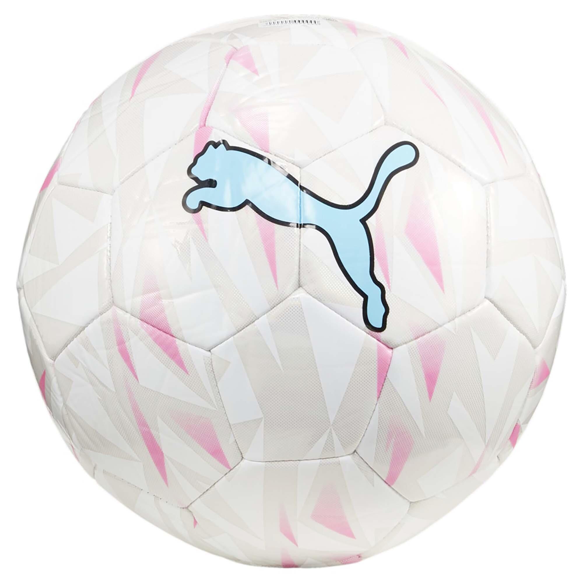 PUMA picture
