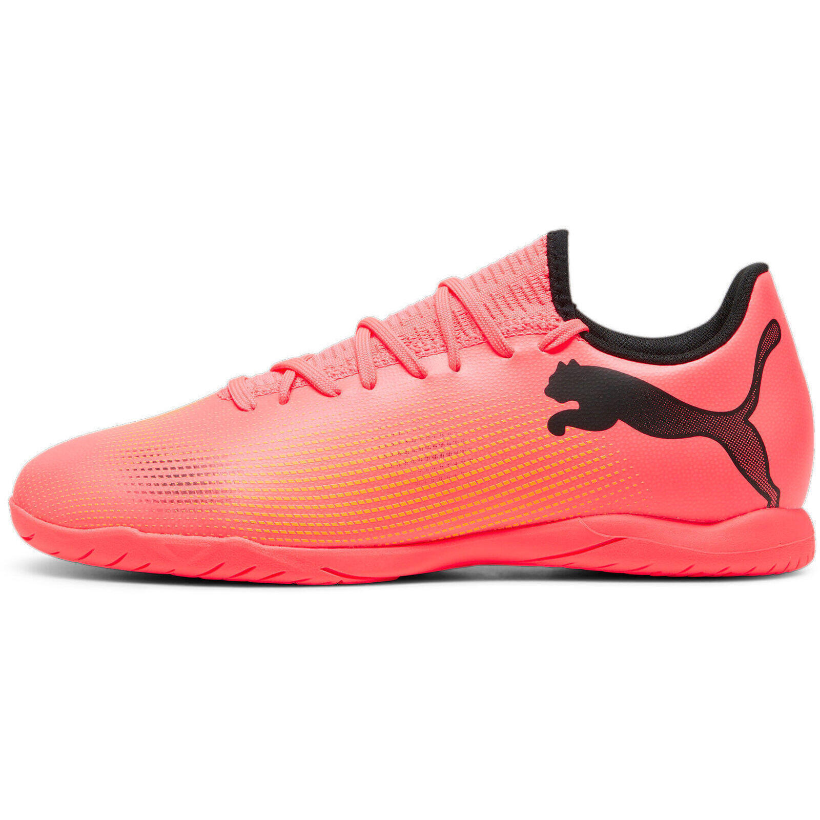 PUMA picture