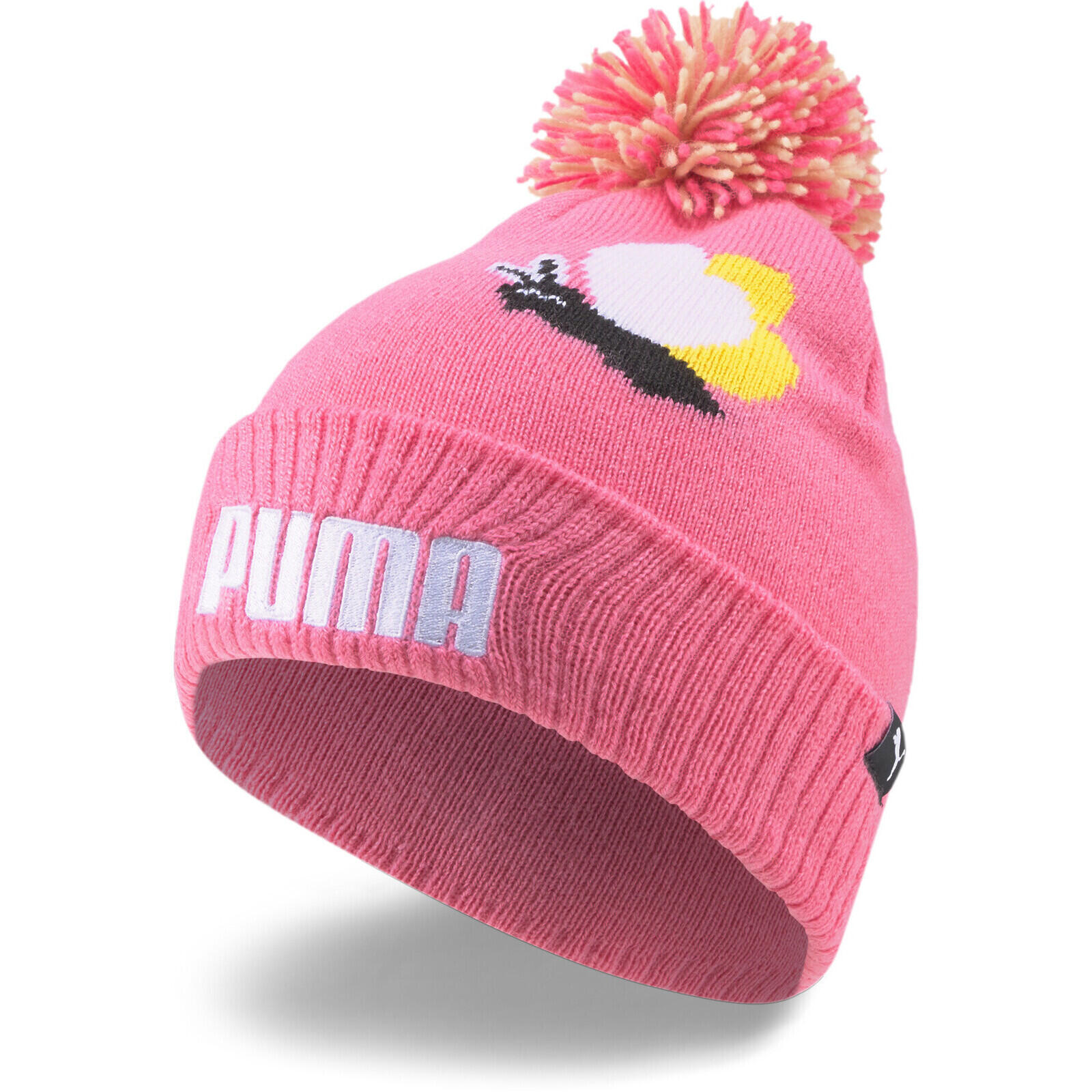 PUMA picture