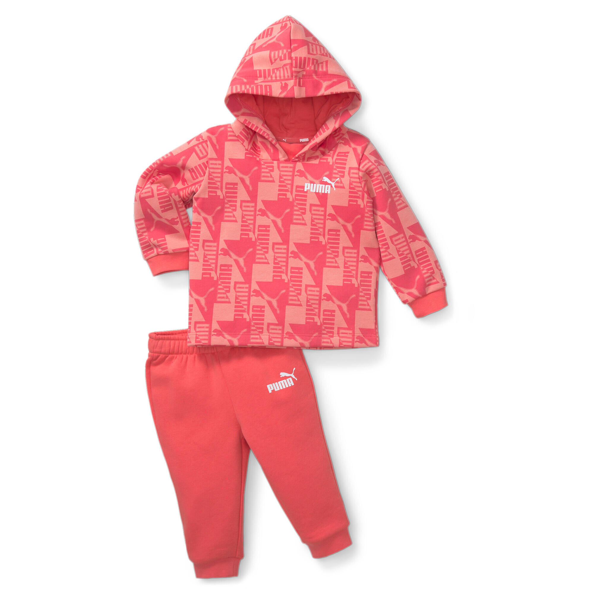 PUMA picture