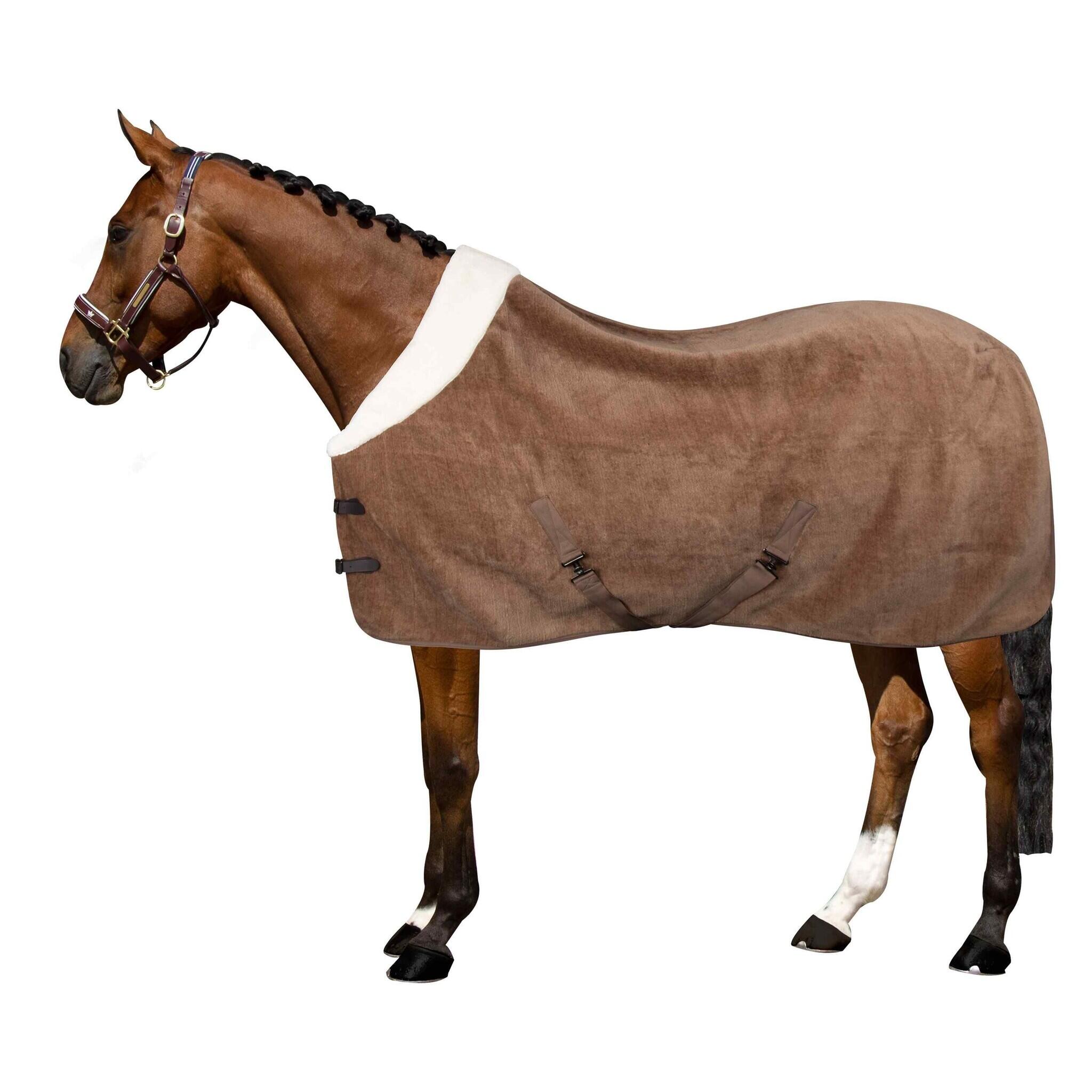 Imperial Riding Fleecedeken Ambient Galaxy - Cappuccino 3/4